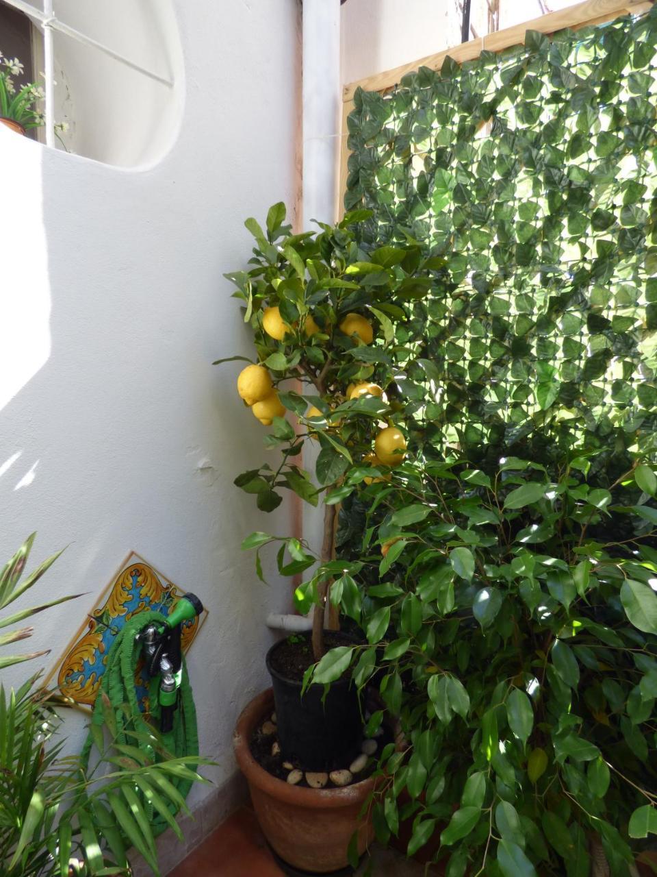Casa Sicana Palerme Extérieur photo